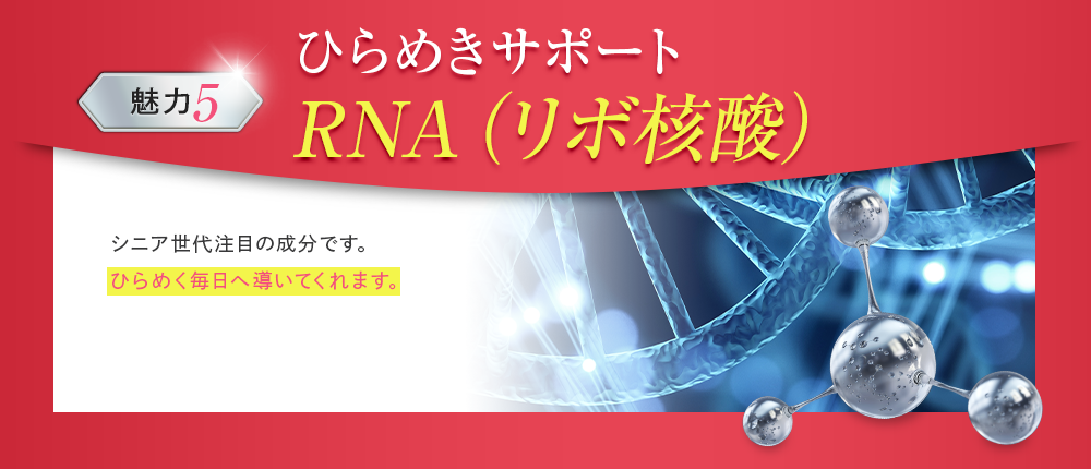 ひらめきサポートRNA（リボ核酸）